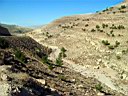 kerak_dana_01.jpg