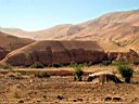 kerak_dana_04.jpg