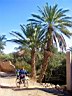 palmyre_31.jpg